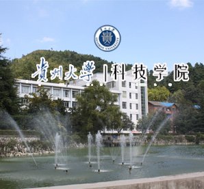 [详情]