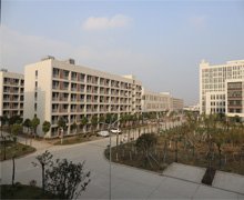 高起点规划建设的武汉市长江新区武湖街