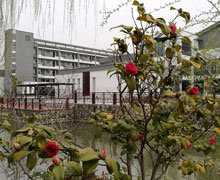 公开完美体育365下载安全访问专任教