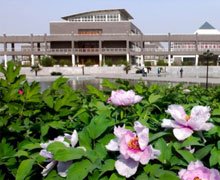 邯郸完美体育365下载最新版下载公开