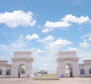 高校教师完美体育365下载新手怎么玩