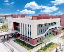 全面落实人才强市战略
